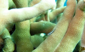 IMG_6026