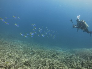 IMG_7975