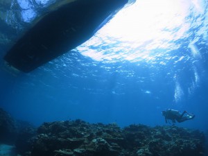 IMG_8493