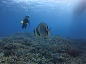 IMG_9324