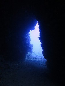 IMG_9391