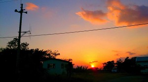 s-DSC_0198