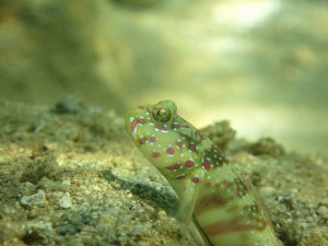 s-IMG_1796