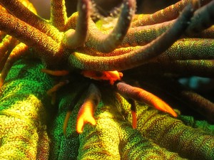 s-IMG_3147