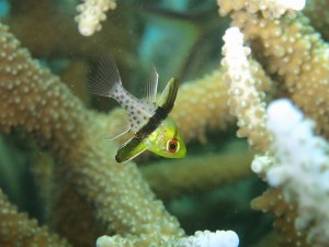 s-IMG_3573