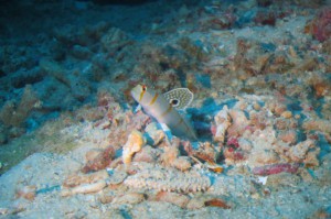 s-IMG_4004