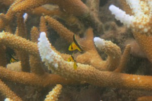 s-IMG_4030