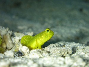 s-IMG_5047