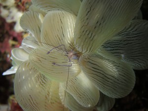 s-IMG_6013