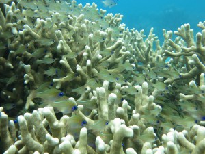 s-IMG_8020