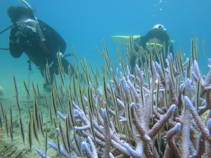 s-IMG_8033
