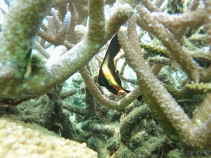 s-IMG_8040