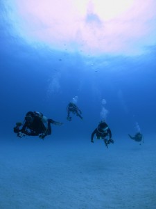 s-IMG_8219