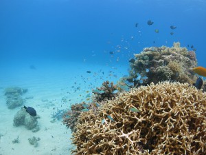 s-IMG_8308