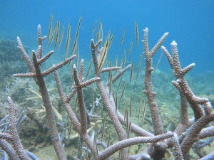 s-IMG_8314