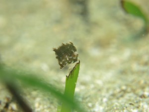s-IMG_8319