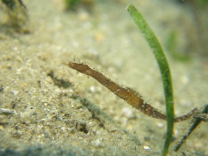 s-IMG_8324