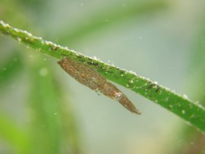 s-IMG_8326