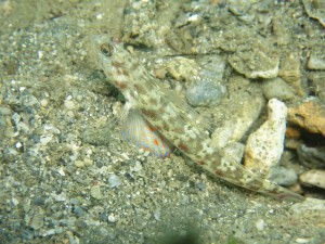 s-IMG_8329