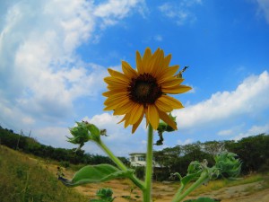 s-IMG_9370