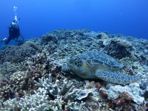 s-IMG_9656