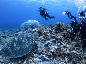 s-IMG_9667