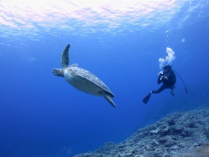 s-IMG_9669