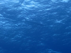 s-IMG_9671