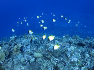 s-IMG_9672