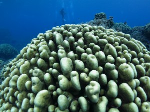 s-IMG_9701