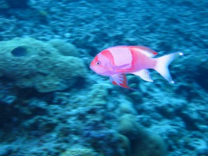 s-IMG_9706