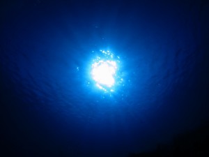 s-IMG_9805