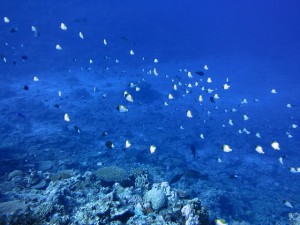 s-IMG_9814