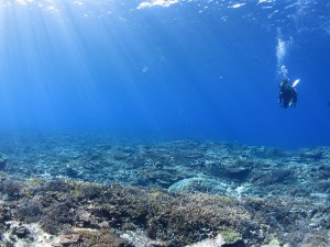 s-IMG_9826