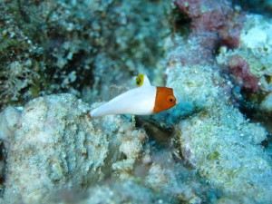 s-IMG_9852