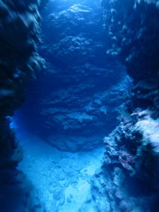 s-IMG_9865