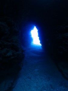s-IMG_9866