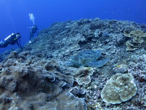 s-IMG_9879