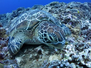 s-IMG_9904