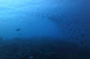 sIMG_3932