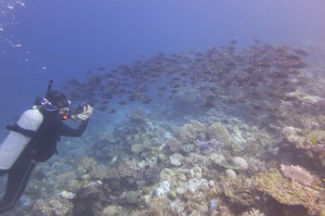 sIMG_3937