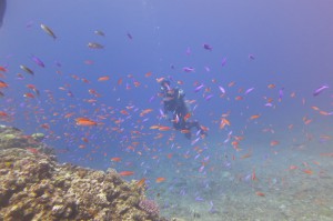 sIMG_3962