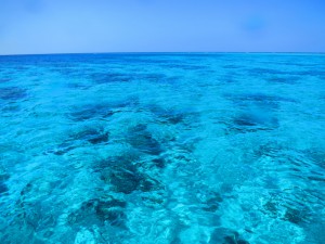 sIMG_3974