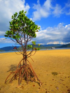 sIMG_4793