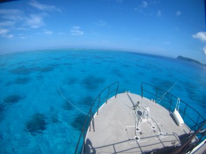 sIMG_5836