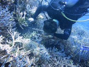 sIMG_8158