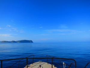 sIMG_8174