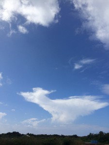 写真 2