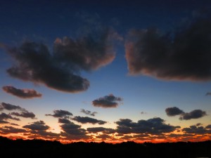 IMG_0088