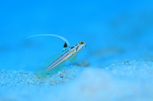 IMG_0088